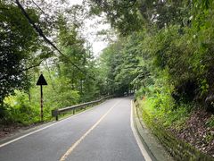-凤栖山