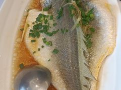 -骏莱海鲜鱼港(五角场店)