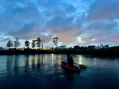 -春花秋色城市公园