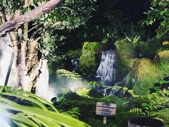 -Chom Cafe and Restaurant
