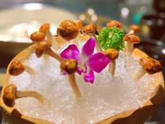 虎松茸-凤园椰珍·臻品椰子鸡(保利时光里店)