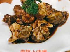 波螺-波螺油子·海肠捞饭·青岛菜(银座店)