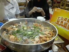 -鸭嘴鱼