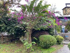 -九尺赵老四鲜鹅肠火锅