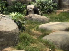 -香港海洋公园