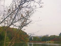-美兰湖景区