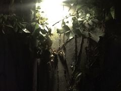 -来回·咖啡(天河南店)