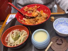 -食其家·牛丼咖喱(金桥太茂店)