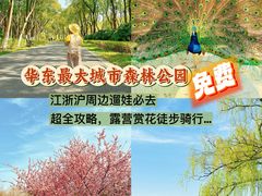 -昆山城市生态森林公园