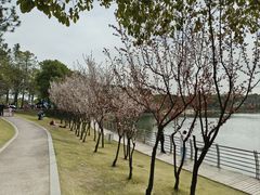 -美兰湖景区