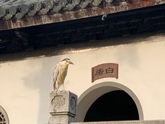 -汇龙潭