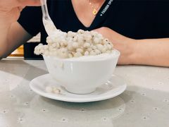 薏米双皮奶-老周记顺德双皮奶