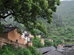 -杨家堂村
