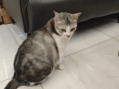 -谜盒子奇幻密室(南屏店)