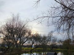景点-月亮湾湿地公园