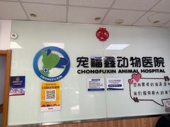 -宠福鑫动物医院(城北分院)
