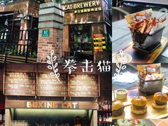 -Boxing Cat Brewery拳击猫精酿啤酒馆(永福店)