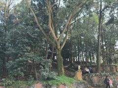 -峨眉山报国寺