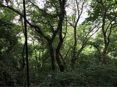 府山公园-府山公园