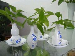 -山湖温泉