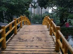 -晓港公园