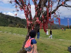 -硗碛藏寨·神木垒景区