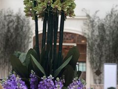 -利顺德大饭店·维多利亚花园(小白楼店)