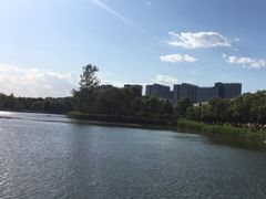 -大兴滨河森林公园