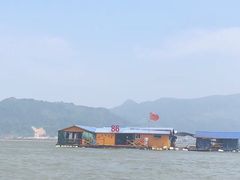 -罗源湾8号渔排