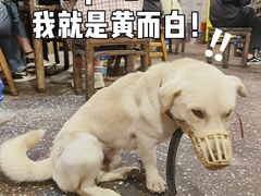 -夹夹大·蟹蟹大排档(财富又一城店)