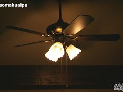 吊扇灯-意大利农场度假村