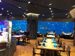 大堂-海棠湾洲际-涛·海底餐厅·美人鱼·自助餐·海底隧道