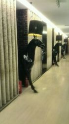 -俏江南户外宴会花园·梓塘婚礼堂(马场道店)