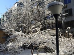 -申记串道(中街店)