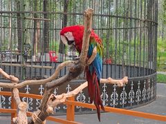 -北京野生动物园