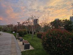 -中福百货(望京店)