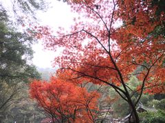 -岳麓山风景名胜区