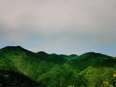 -四明山国家森林公园