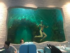 -瑞德姆美人鱼海底演艺主题餐厅(亚龙湾店)