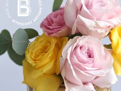 -Biteology Artisan Cakes(红庄·国际文化保税创新园店)