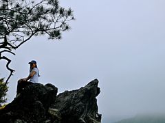 -石上人家