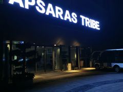 -深圳阿普萨拉斯酒店