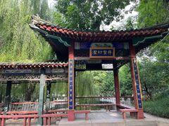 -桃花堤公园