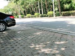 -大嶝英雄三岛战地观光园