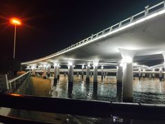 -演武大桥观景平台