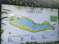 -华侨城湿地公园