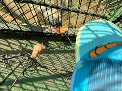 -五龙山野生动物王国