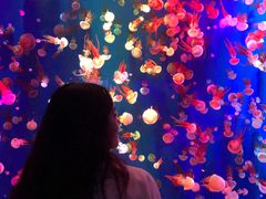 -成都浩海立方海洋公园