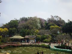 -广州莲花山旅游区