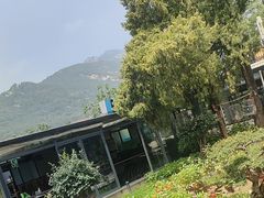 -蘇河湾·新鲁菜·泰山宴(泰山店)